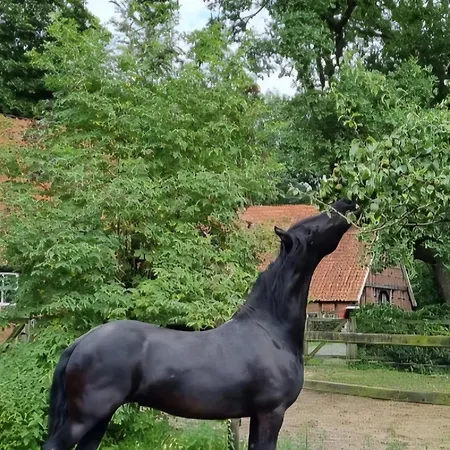 Hébergement de vacances Historisches Fachwerkhaus Im Gruenen Bawinkel